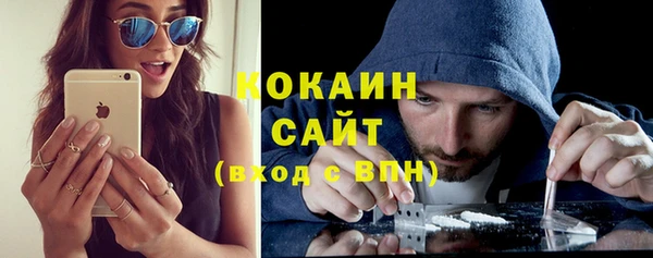 индика Ельня