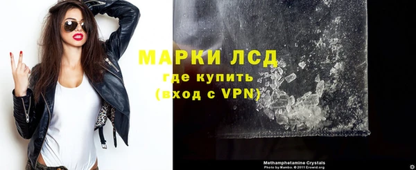 индика Ельня