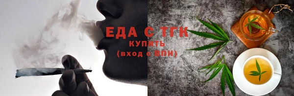 индика Ельня