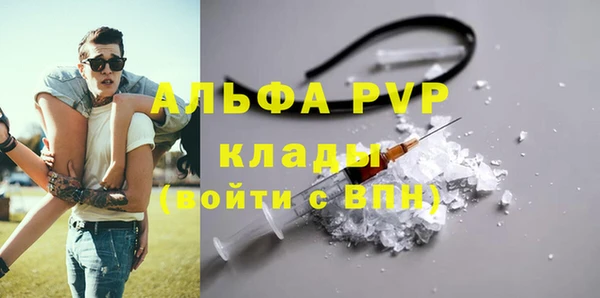 индика Ельня