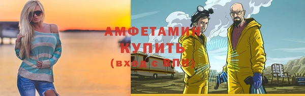 индика Ельня