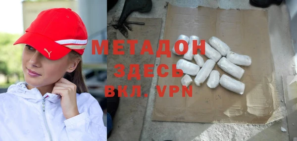 индика Ельня