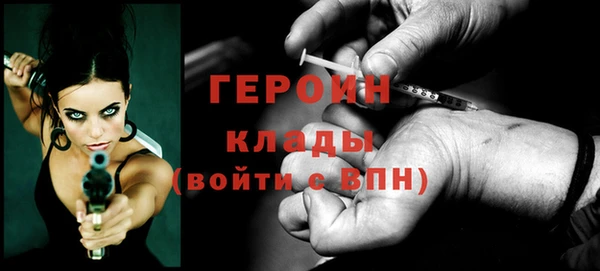 индика Ельня