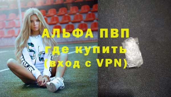 индика Ельня