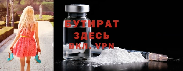 индика Ельня