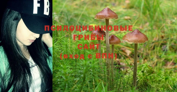 бошки Елабуга