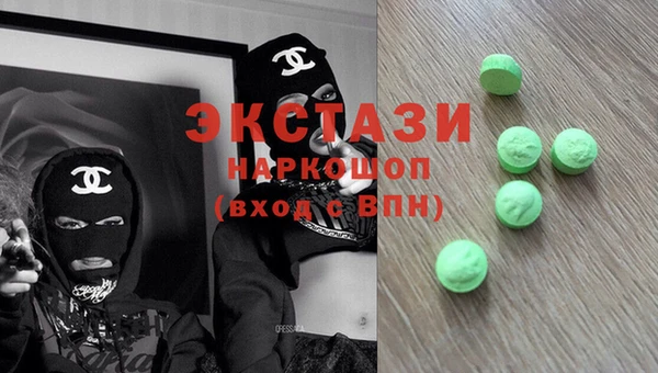 индика Ельня