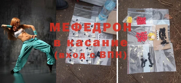индика Ельня