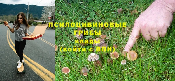 бошки Елабуга