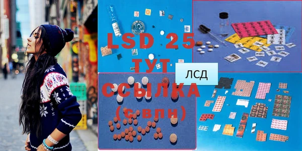индика Ельня
