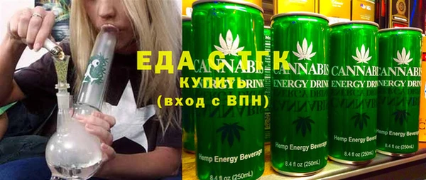 индика Ельня