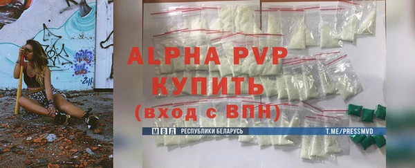 индика Ельня