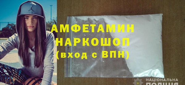 индика Ельня