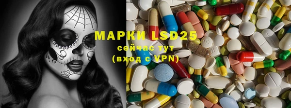 индика Ельня