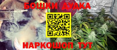 apvp Ипатово