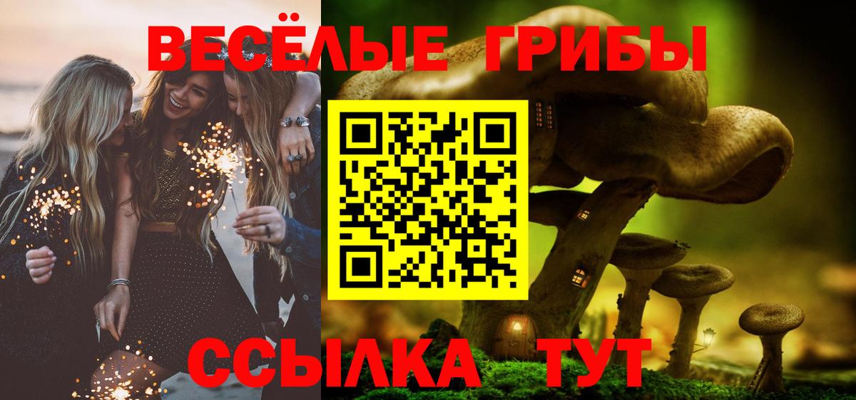 Псилоцибиновые грибы GOLDEN TEACHER Свободный