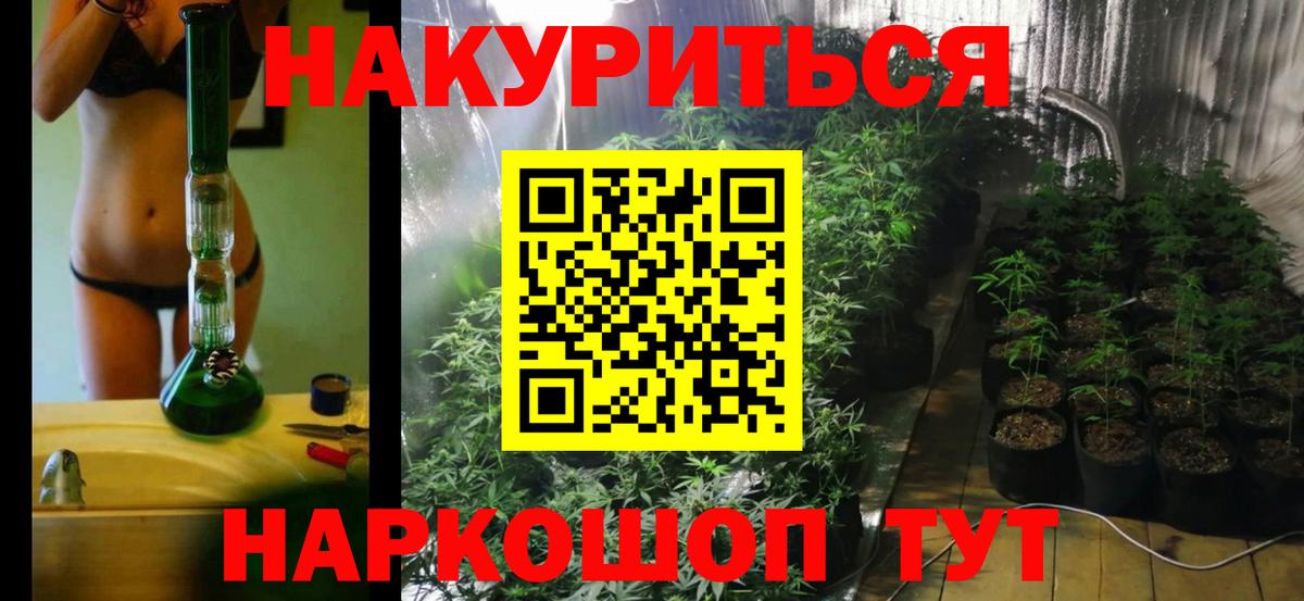 Бошки Шишки семена  Бошки Шишки AK-47  Вход с VPN  Канабис Bruce Banner  Свободный  Каннабис сатива 